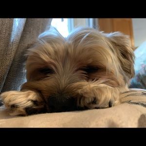 Meet your Posher, Rachel